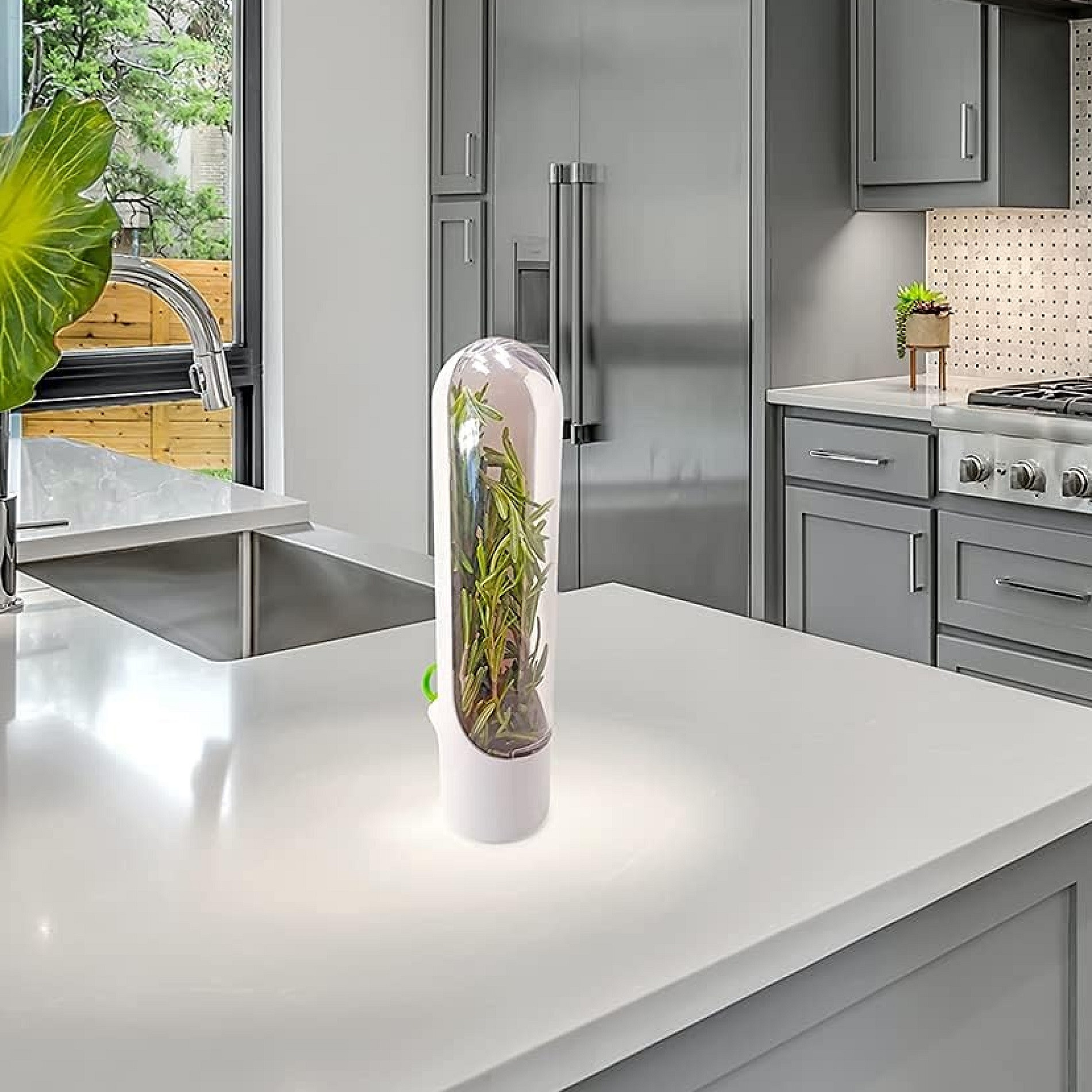 Miniatura 2 de Capsula Contenedor Conservador Hierbas